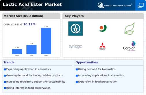 Lactic Acid Ester Market Infographic