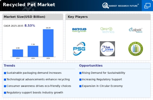 Recycled PET Market Infographic