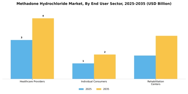Methadone Hydrochloride Market Segment Image 2