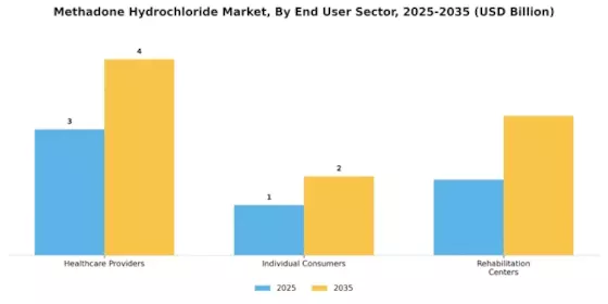 Methadone Hydrochloride Market Segment Image 3