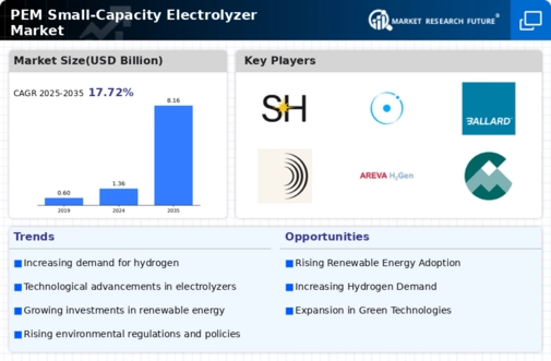 Pem Small Capacity Electrolyzer Market Infographic