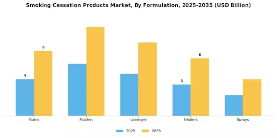 Smoking Cessation Products Market Segment Image 1