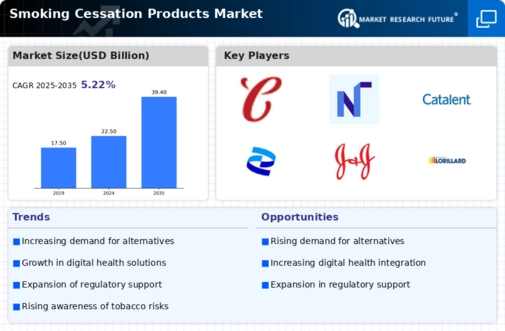 Smoking Cessation Products Market Infographic