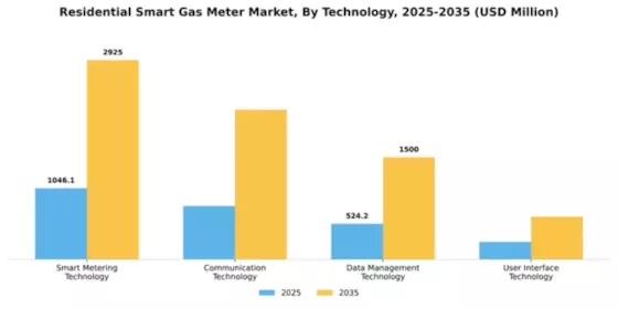 Residential Smart Gas Meter Market Segment Image 4