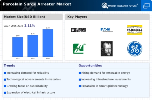 Porcelain Surge Arrester Market Infographic