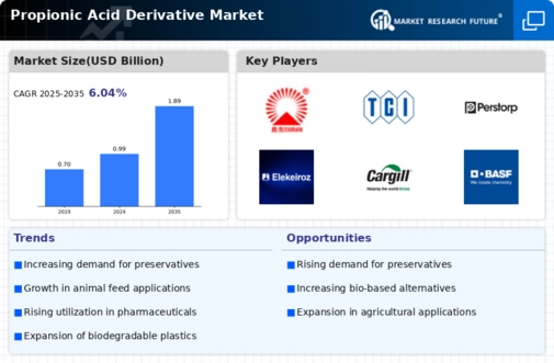 Propionic Acid Derivative Market Infographic