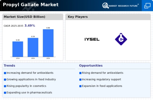 Propyl Gallate Market Infographic