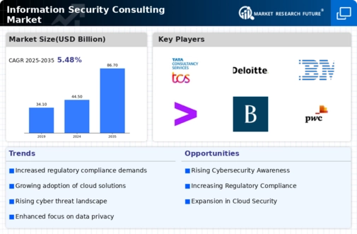 Information Security Consulting Market Infographic