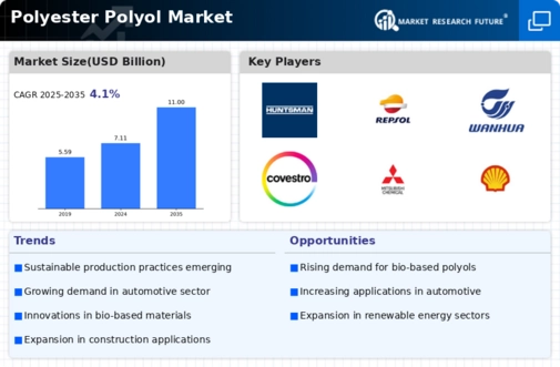 Polyester Polyol Market Infographic