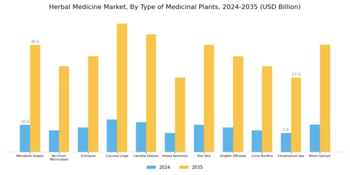 Herbal Medicine Market Segment Image 3