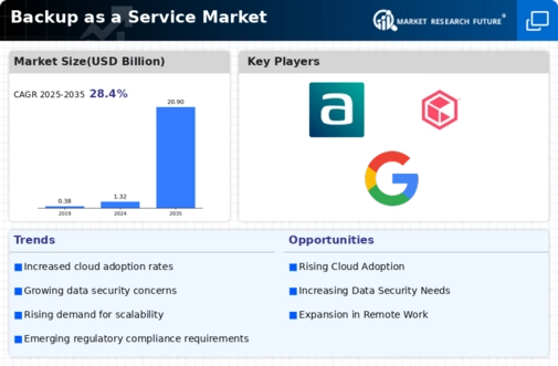 Backup Service Market Infographic