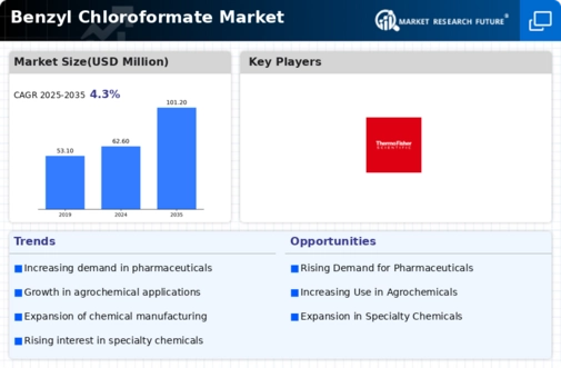 Benzyl Chloroformate Market Infographic