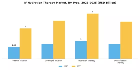 Iv Hydration Therapy Market Segment Image 0