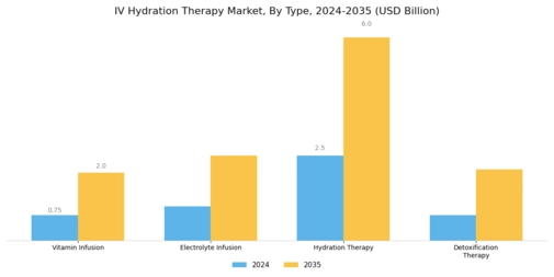 Iv Hydration Therapy Market Segment Image 0