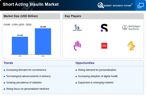 Short Acting Insulin Market Infographic
