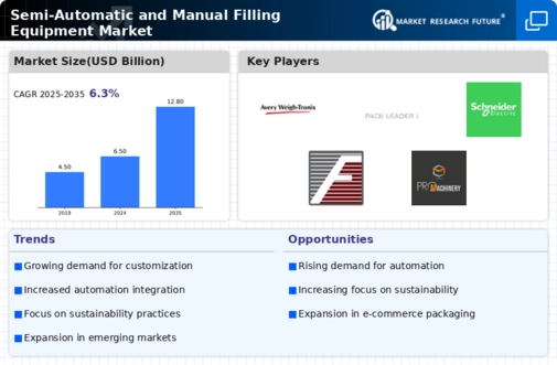 Semi Automatic Manual Filling Equipment Market Infographic