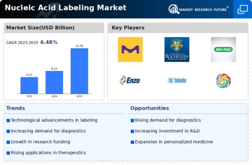 Nucleic Acid Labeling Market Infographic