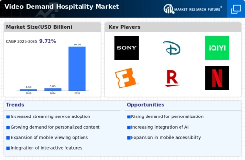 Video Demand Hospitality Market  Infographic