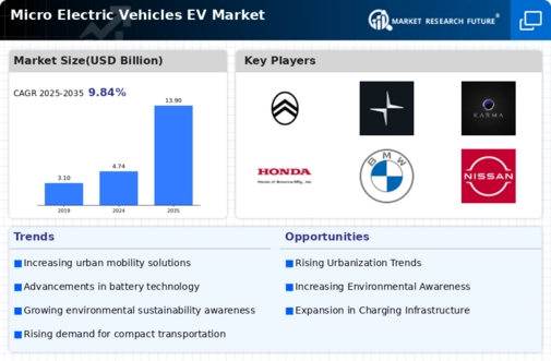 Micro Electric Vehicles Market Infographic