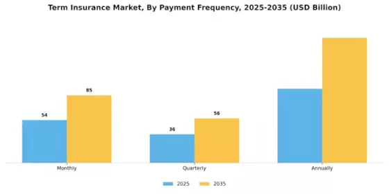 Term Insurance Market Segment Image 3