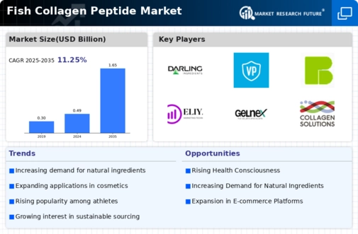 Fish Collagen Peptide Market Infographic
