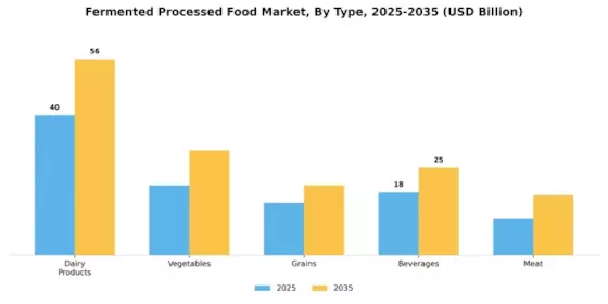 Fermented Processed Food Market Segment Image 0