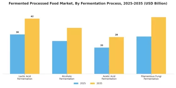 Fermented Processed Food Market Segment Image 1