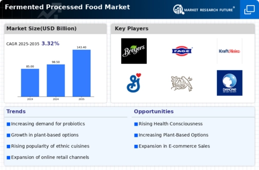 Fermented Processed Food Market Infographic