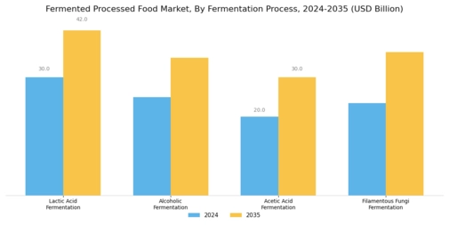 Fermented Processed Food Market Segment Image 1