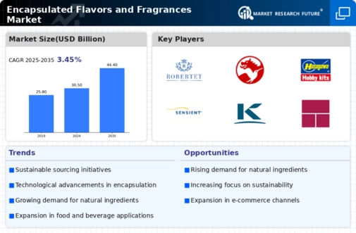 Encapsulated Flavors and Fragrances Market Infographic