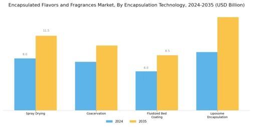 Encapsulated Flavors and Fragrances Market Segment Image 1