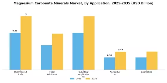 Magnesium Carbonate Minerals Market Segment Image 1