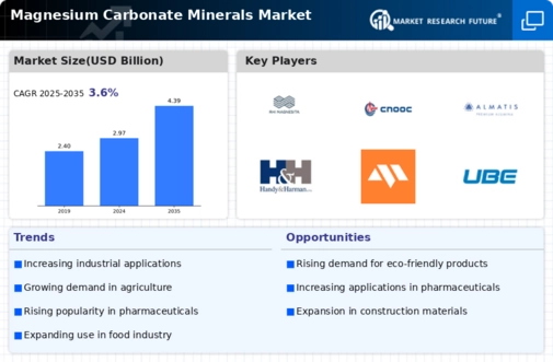 Magnesium Carbonate Minerals Market Infographic