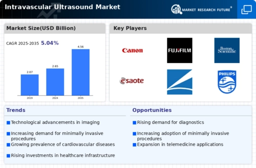 Intravascular Ultrasound Market Infographic