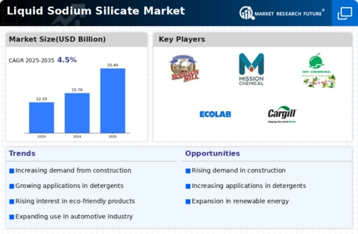 Liquid Sodium Silicate Market Infographic