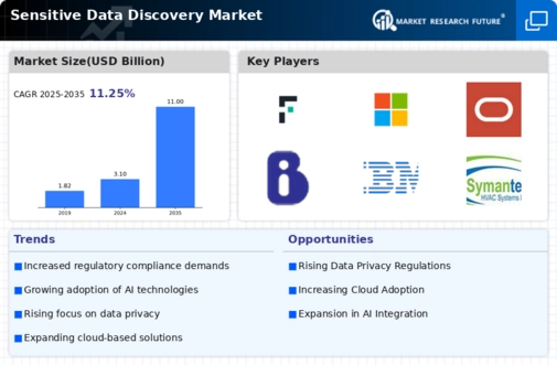Sensitive Data Discovery Market Infographic