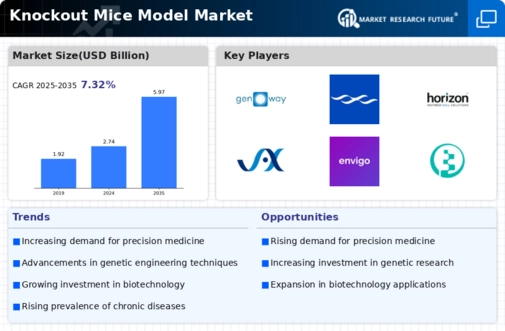 Knock Out Mice Model Market Infographic