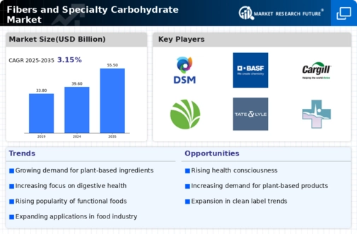 Fibers and Specialty Carbohydrate Market Infographic