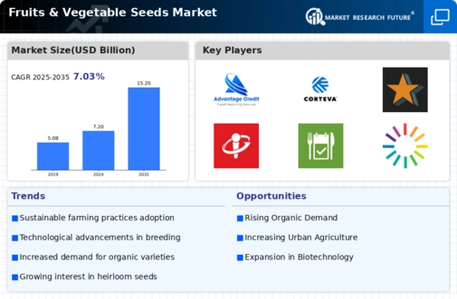 Fruit Vegetable Seed Market Infographic