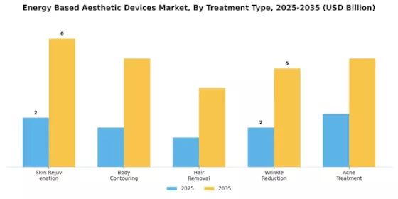 Energy Based Aesthetic Devices Market Segment Image 1