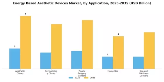 Energy Based Aesthetic Devices Market Segment Image 2
