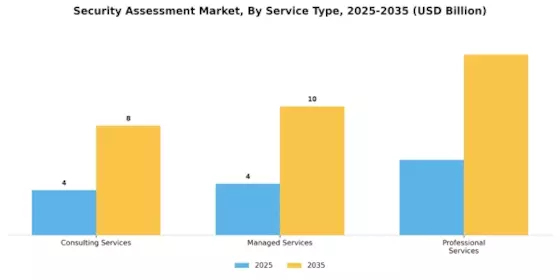 Security Assessment Market Segment Image 1