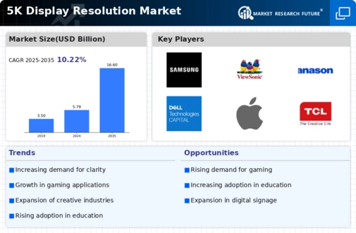 5K Display Resolution Market Infographic