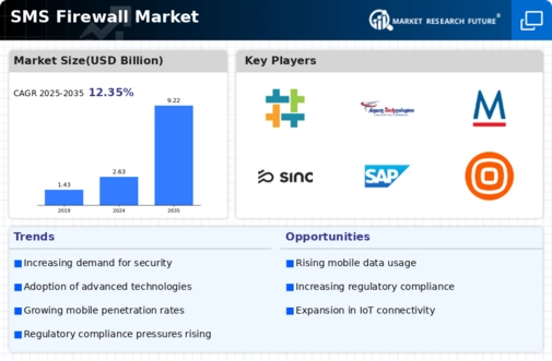 SMS Firewall Market Infographic