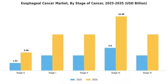 Esophageal Cancer Market Segment Image 1