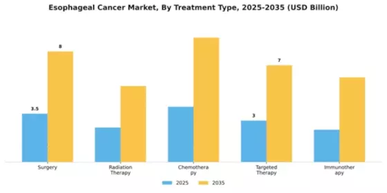 Esophageal Cancer Market Segment Image 2