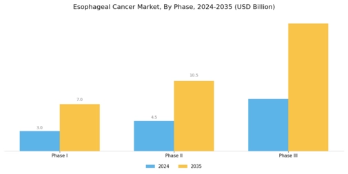 Esophageal Cancer Market Segment Image 1
