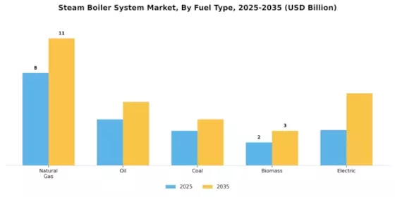 Steam Boiler System Market Segment Image 0