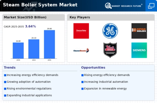 Steam Boiler System Market Infographic