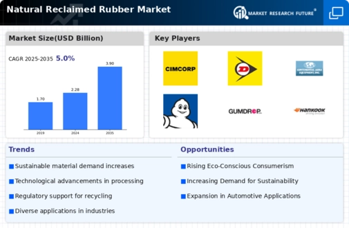 Natural Reclaimed Rubber Market
 Infographic